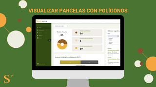 Video: revisar los polígonos levantados