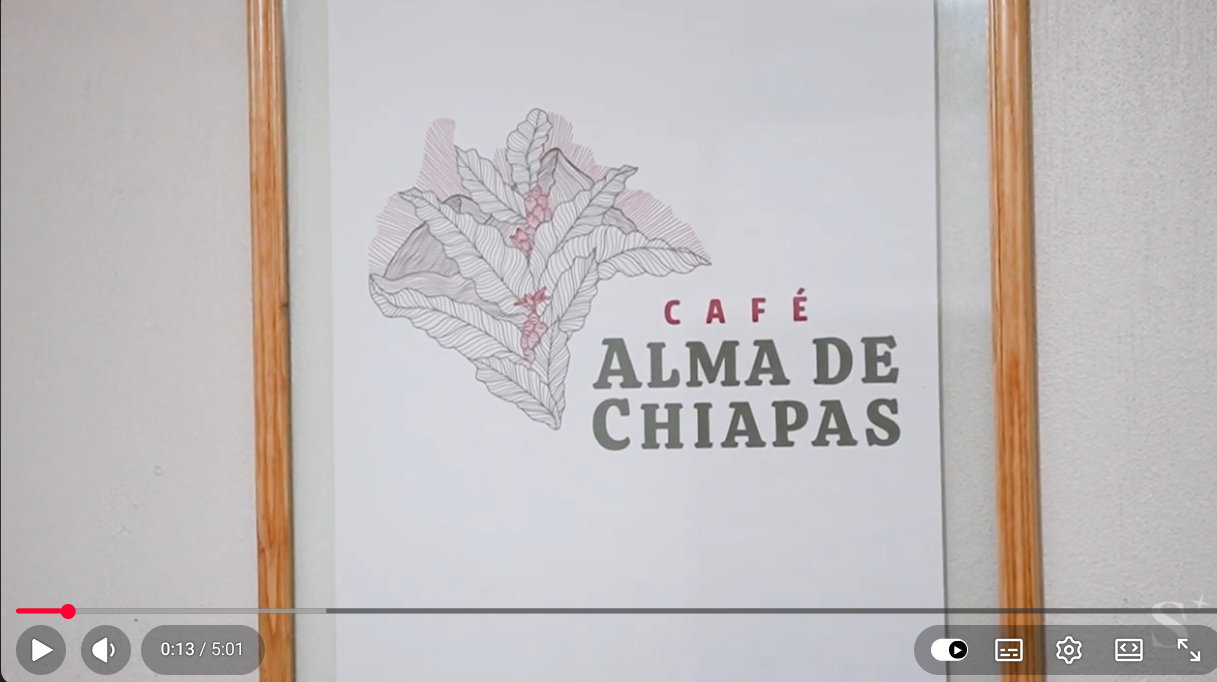 Screenshot of the Alma de Chiapas cooperative video