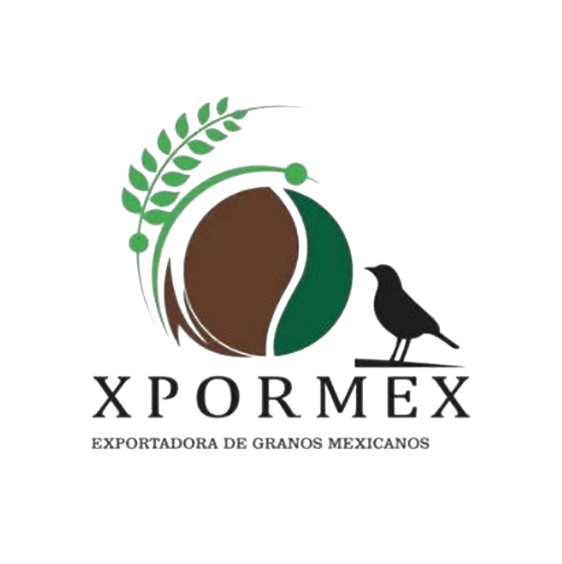 Xpormex