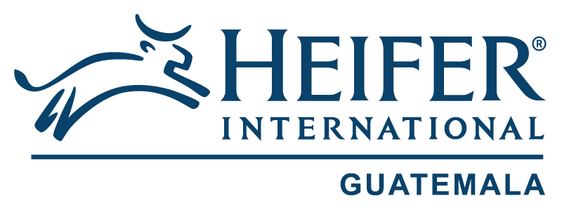 Heifer International Guatemala