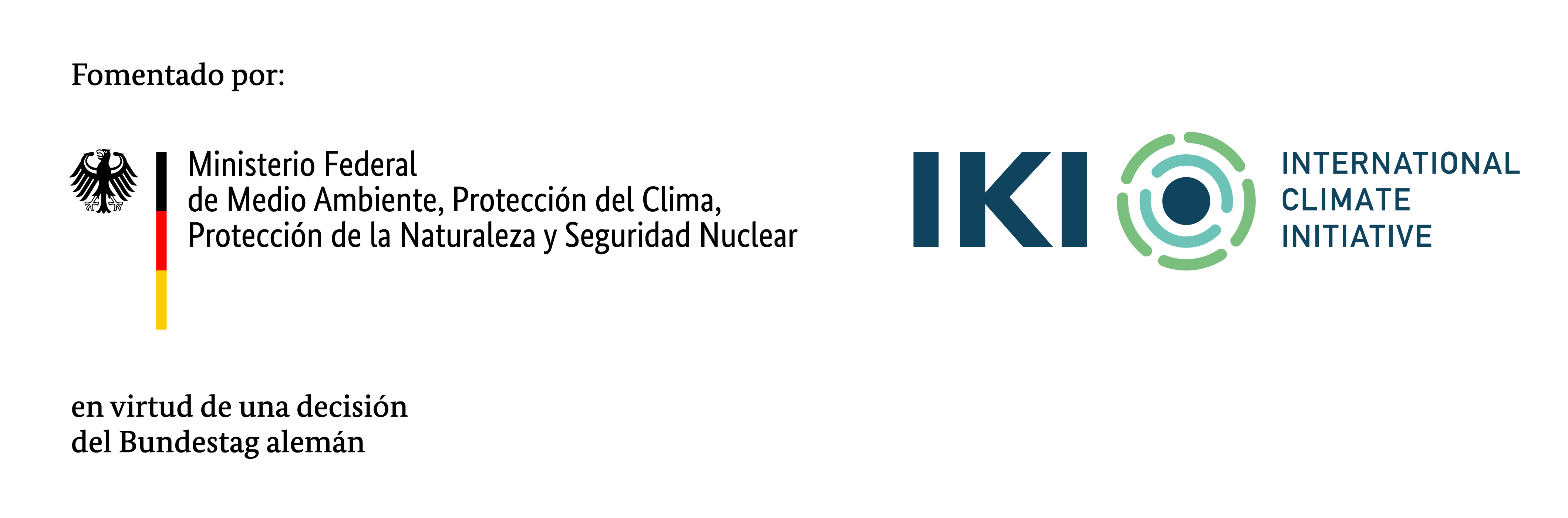 International Climate Initiative (IKI)